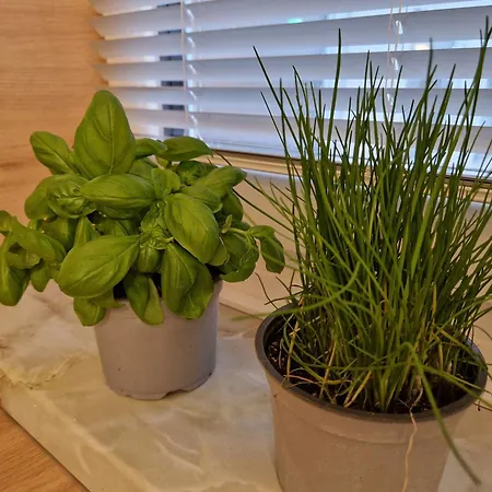 Relax Kaernten Therme