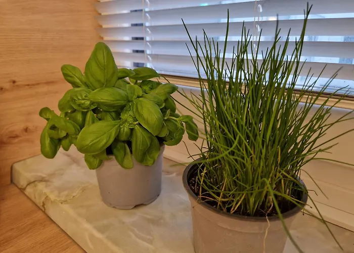 Relax Kaernten Therme